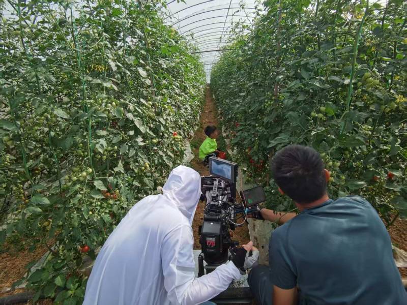 潘集区产品宣传视频拍摄公司进阶指南，助力品牌抢占传播高地